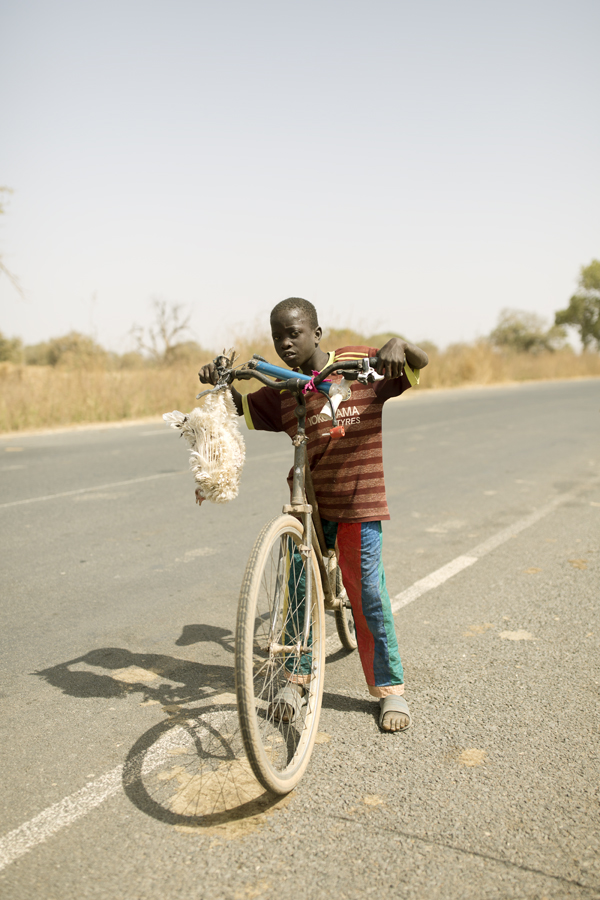 The Gambia – The Smiling Coast Of Africa By Vincent Karcher