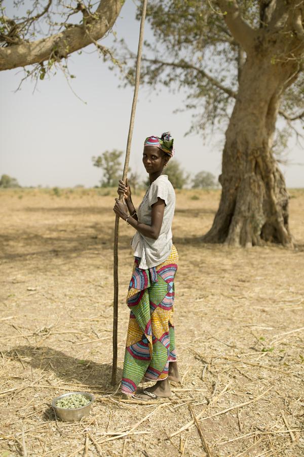 The Gambia – The Smiling Coast Of Africa By Vincent Karcher