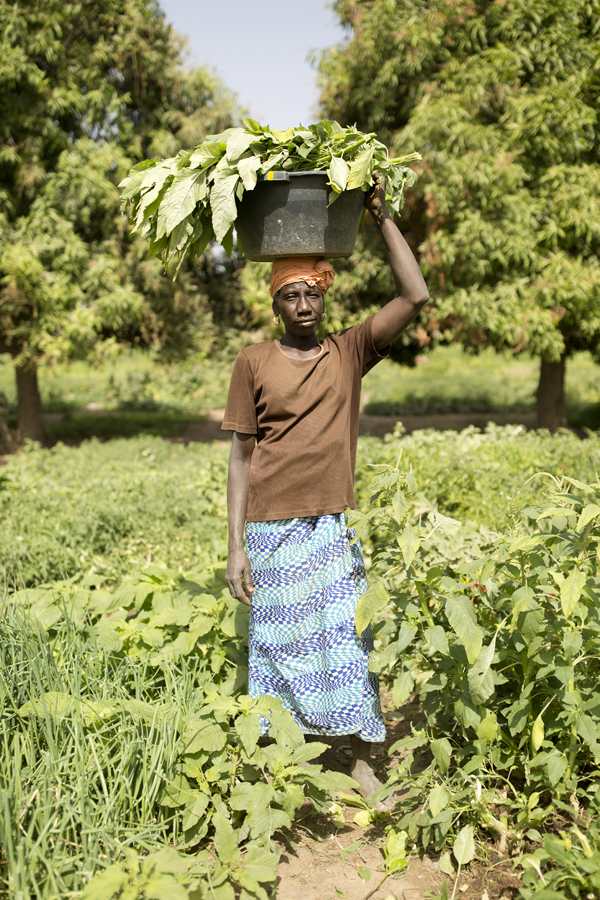 The Gambia – The Smiling Coast Of Africa By Vincent Karcher