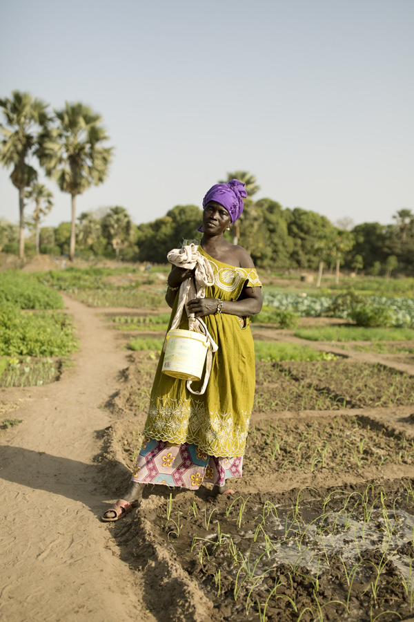 The Gambia – The Smiling Coast Of Africa By Vincent Karcher