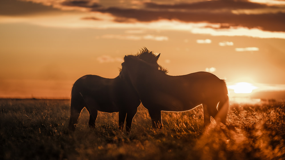 A Homage To Iceland By Photographer Ben Simon Rehn