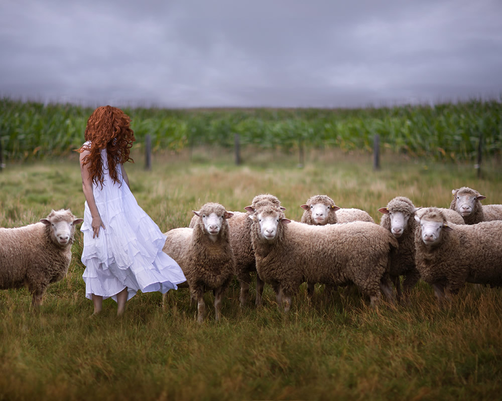 The Quiet Storm: Photo Series By Patty Maher