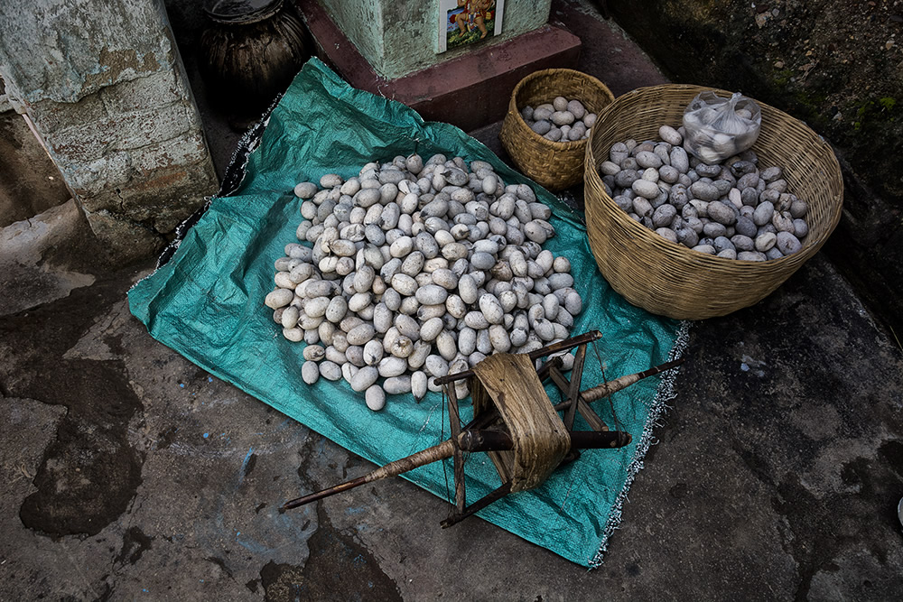 From Raw to Polished: The Journey Of A Tussar Silk Material By Shirshendu Chowdhury