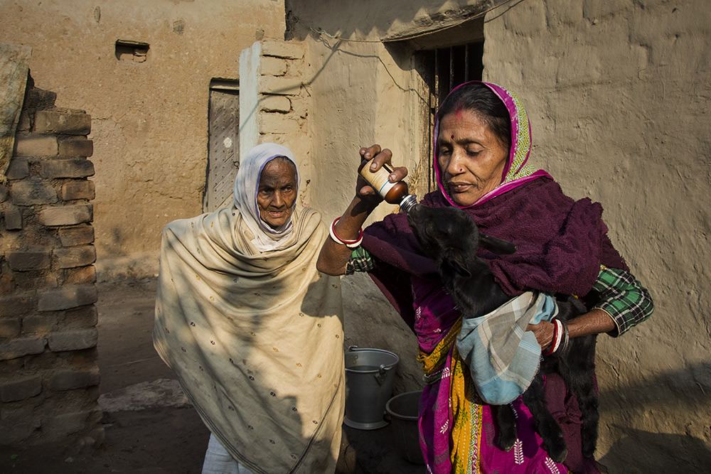 From Raw to Polished: The Journey Of A Tussar Silk Material By Shirshendu Chowdhury