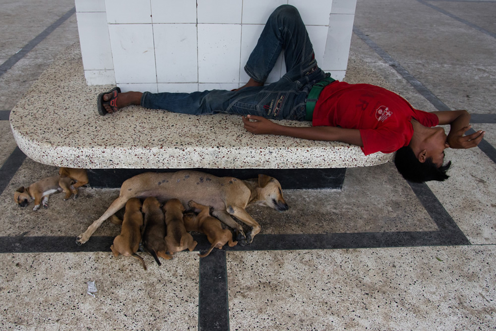 Co Existence: Street Photography Series By Md. Enamul Kabir