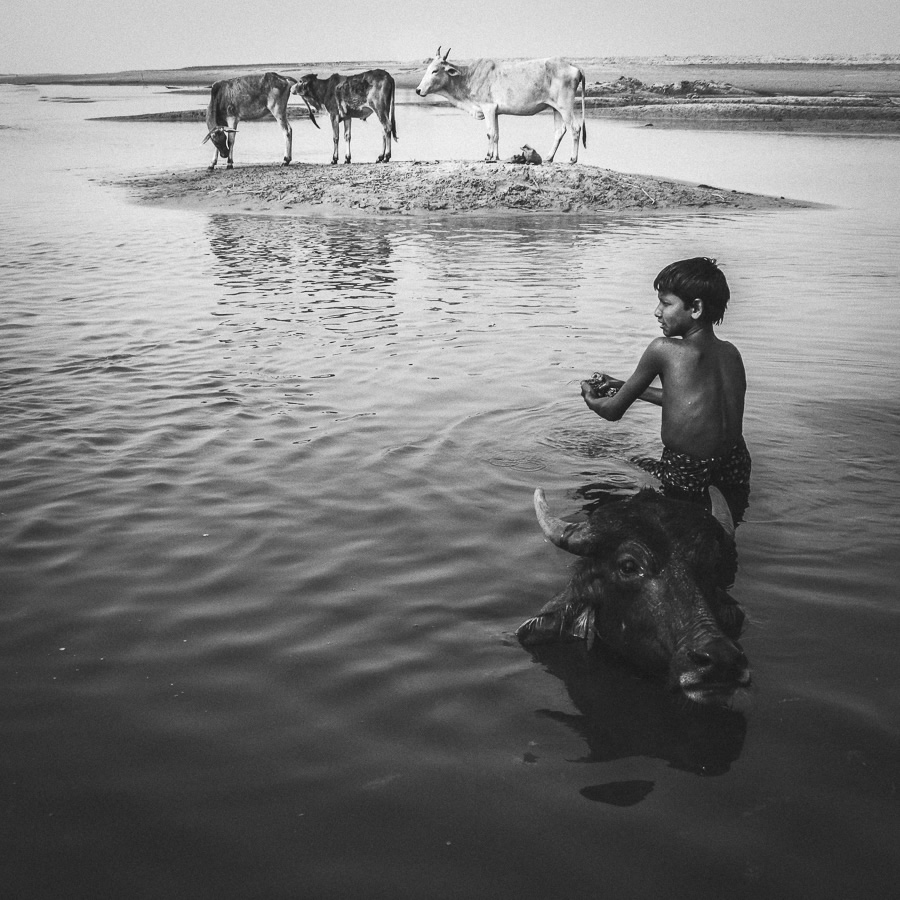 Visuals Of Delta By Bangladeshi Photographer Enamur Reza