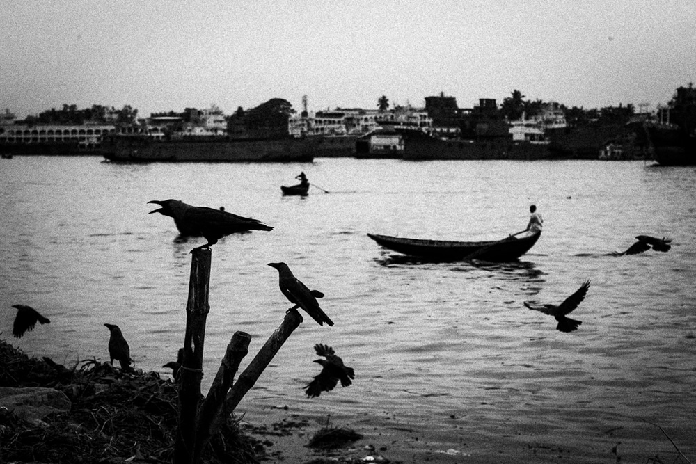 Visuals Of Delta By Bangladeshi Photographer Enamur Reza