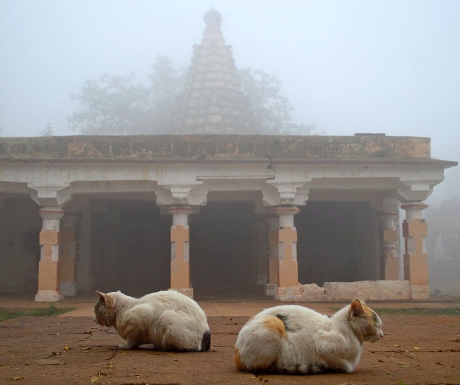 121 Clicks Best Photographs of the Week in Facebook