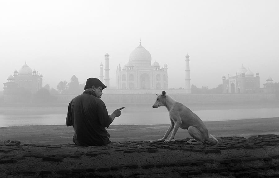 121 Clicks Best Photographs of the Week in Facebook