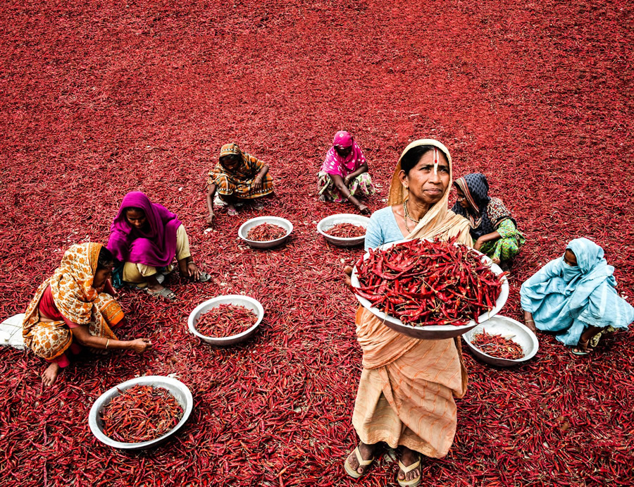 121 Clicks Best Photographs of the Week in Facebook