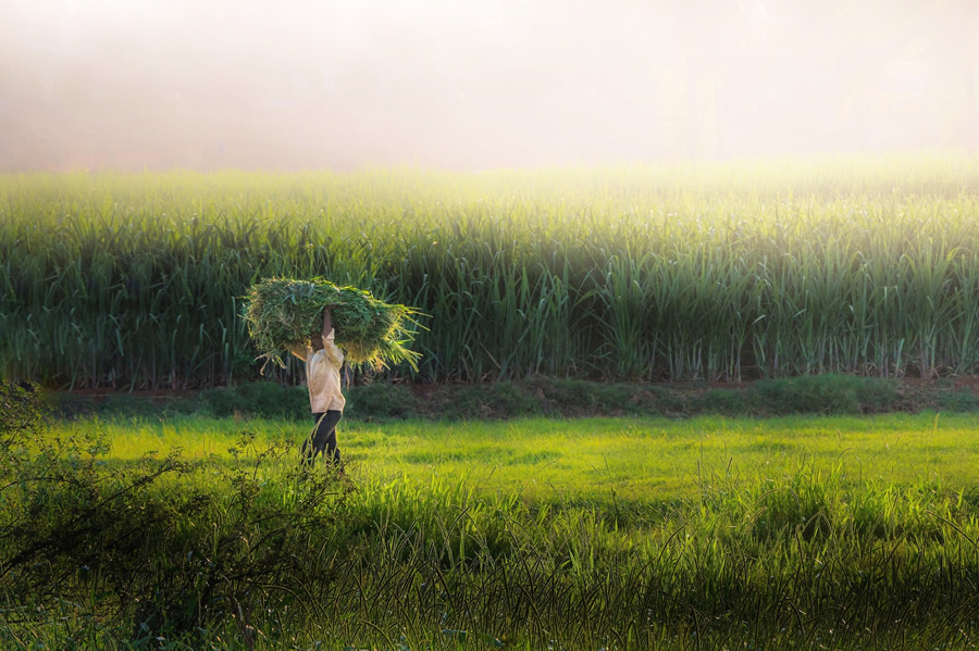 121 Clicks Best Photographs of the Week in Facebook