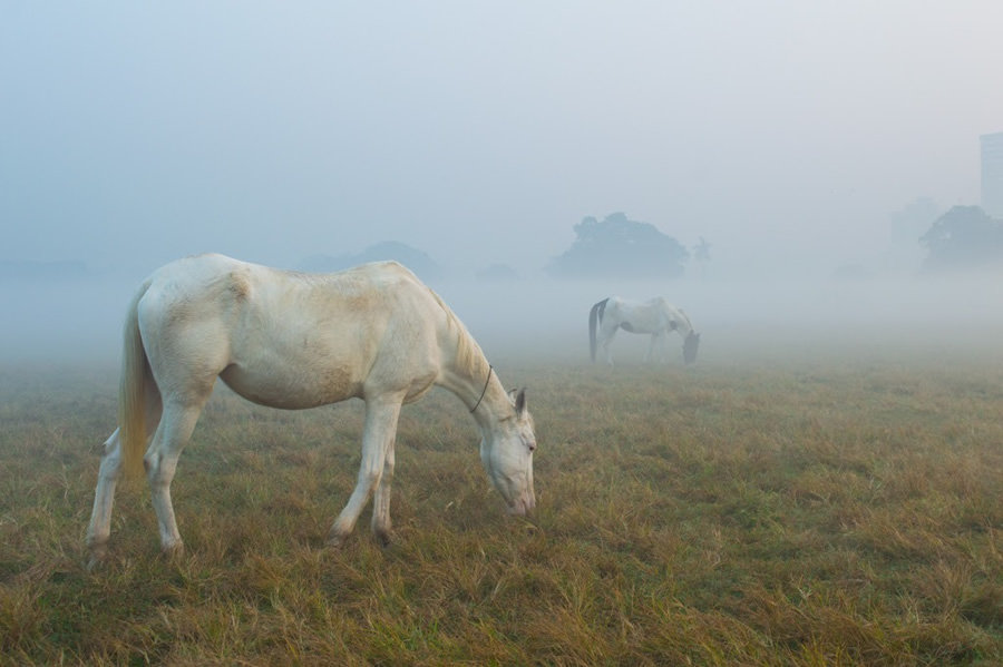 121 Clicks Best Photographs of the Week in Facebook