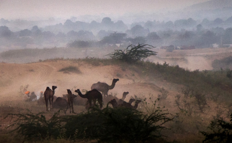 121 Clicks Best Photographs of the Week in Facebook