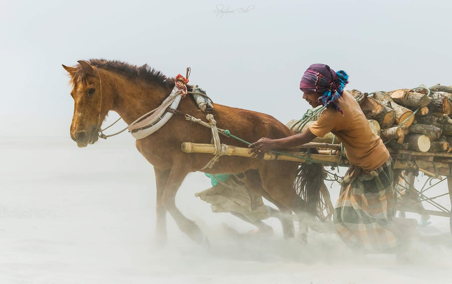 121 Clicks Best Photographs of the Week in Facebook