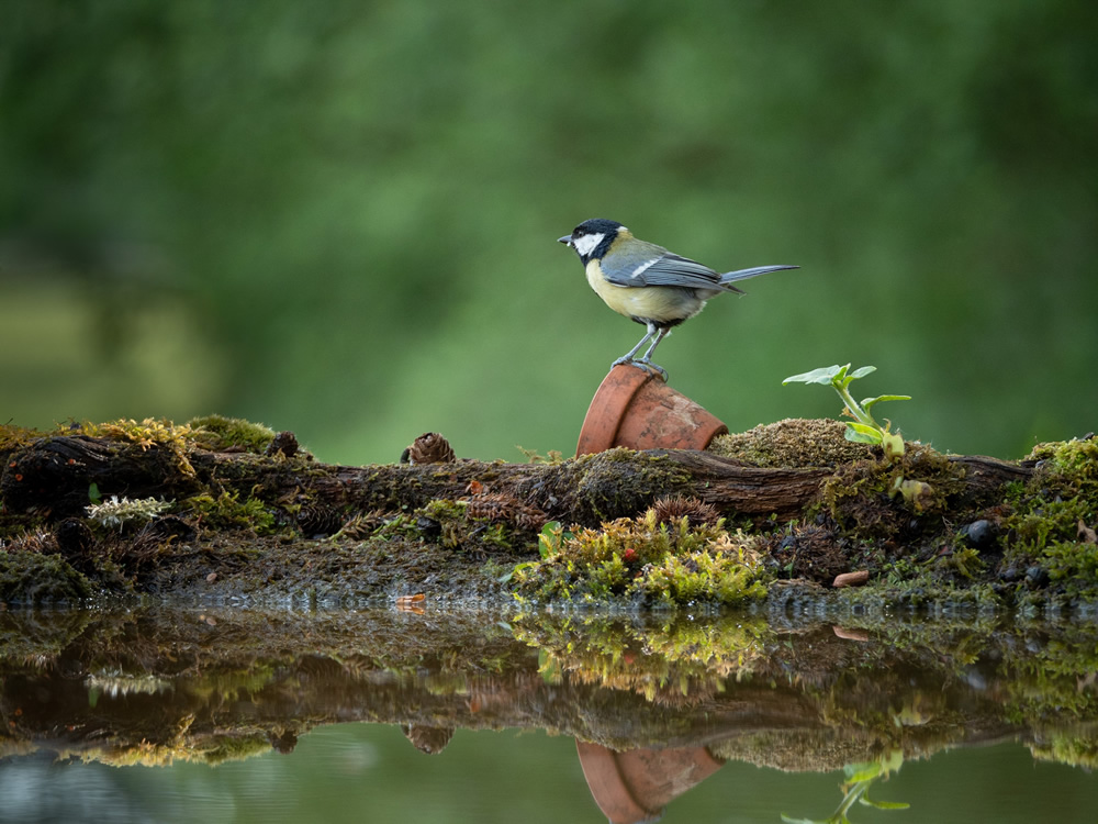 A proper reflection pool