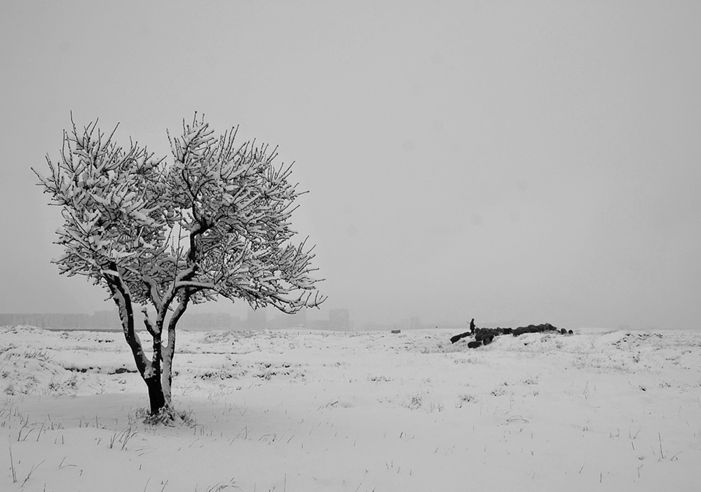 Street and Documentary Photography By Mzia Lekveishvili