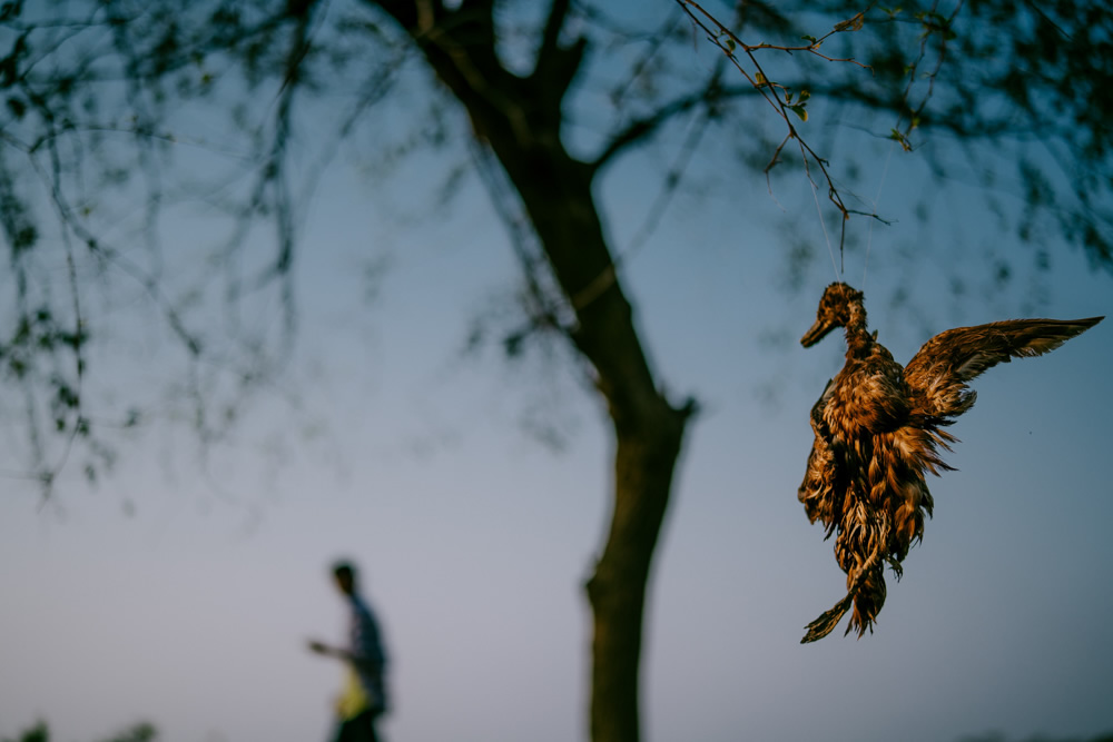 My Personal Best: Bangladeshi Street and Travel Photographer Pranto Nayan