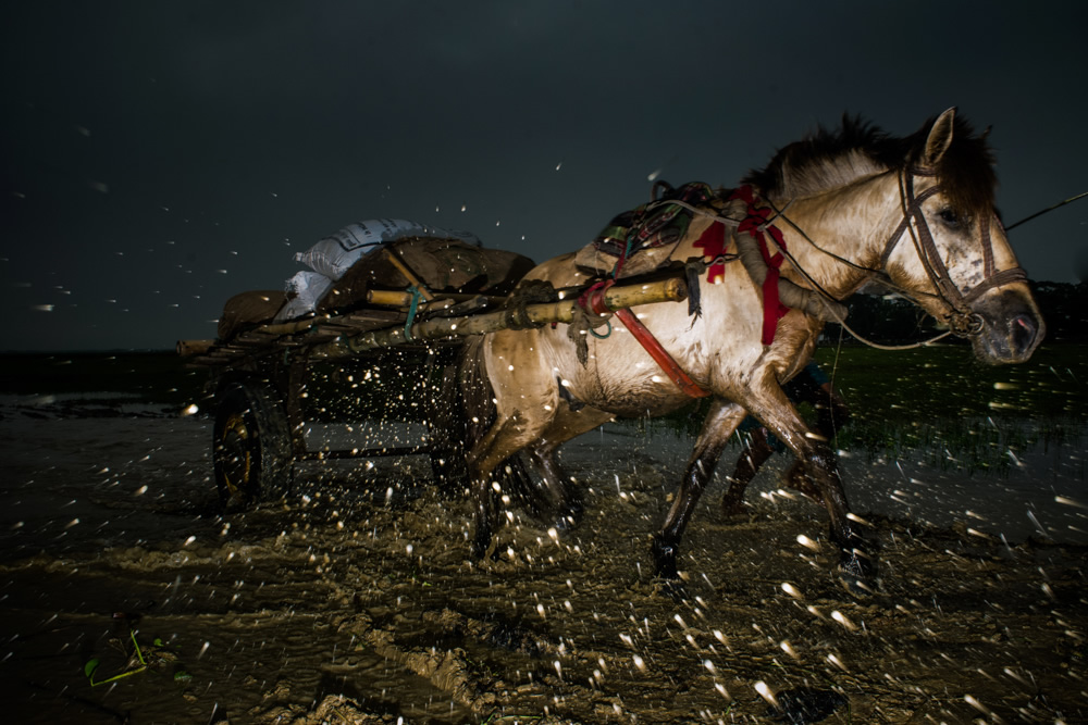 My Personal Best: Bangladeshi Street and Travel Photographer Pranto Nayan