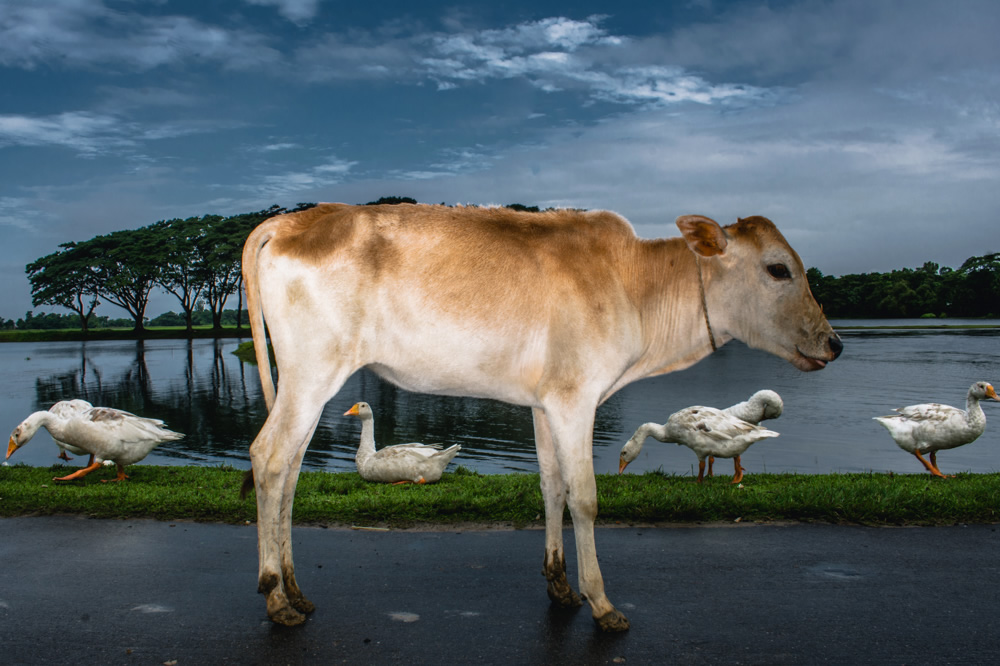 My Personal Best: Bangladeshi Street and Travel Photographer Pranto Nayan