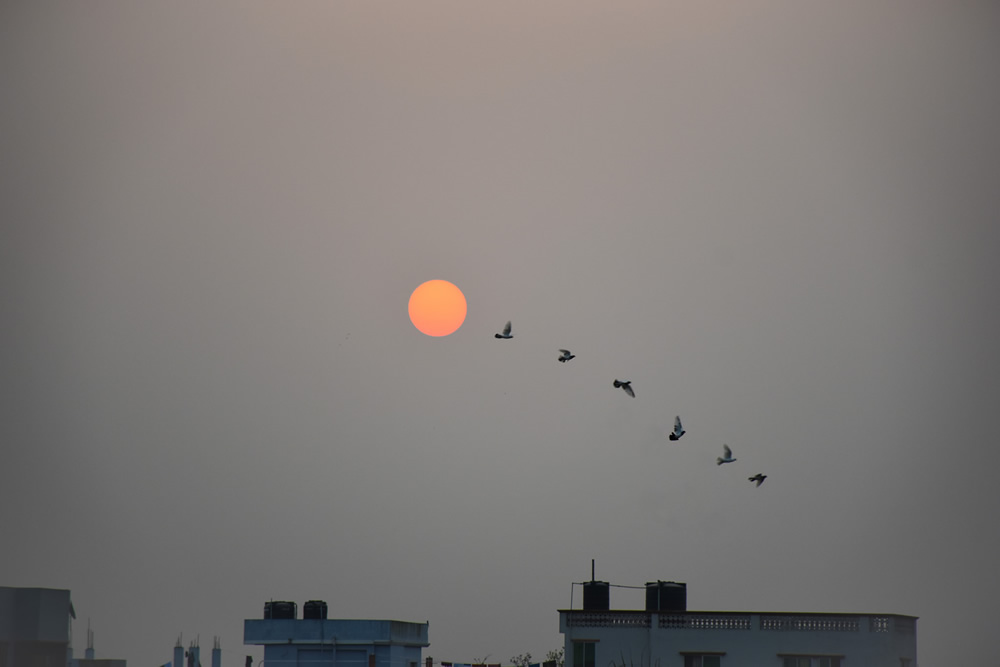 Best Photographs Of The Through The Lens Bangladesh (TTL)