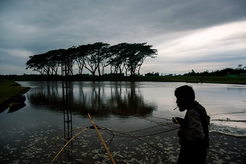 Best Photographs Of The Through The Lens Bangladesh (TTL)