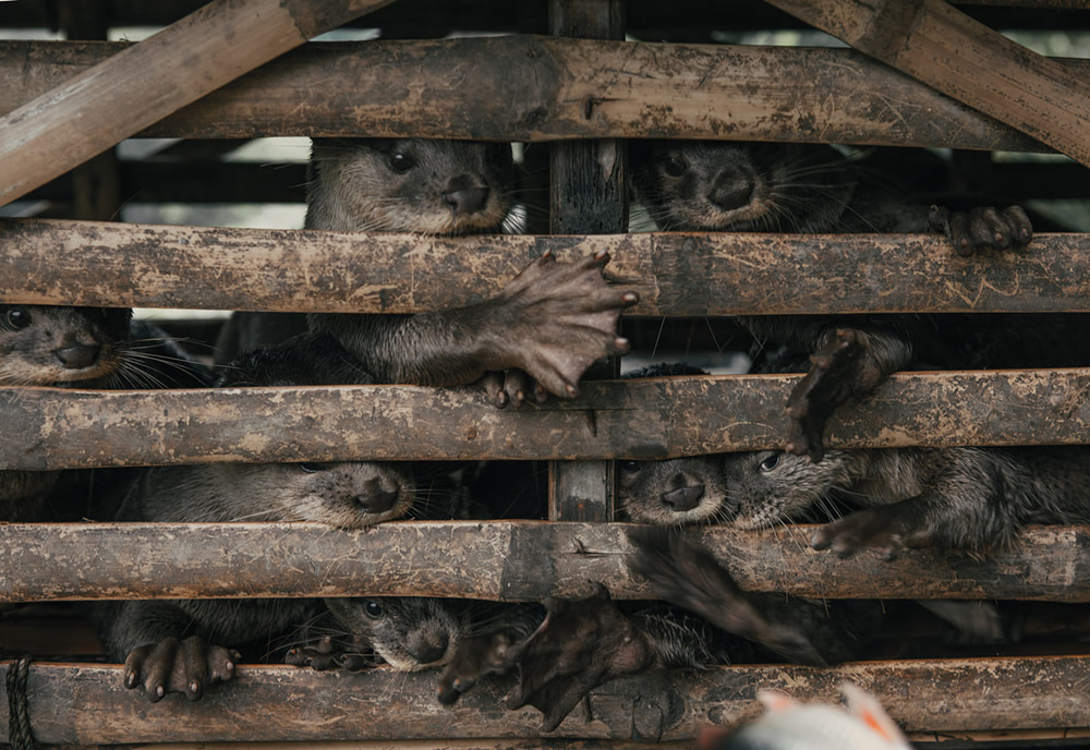 Best Photographs Of The Through The Lens Bangladesh (TTL)