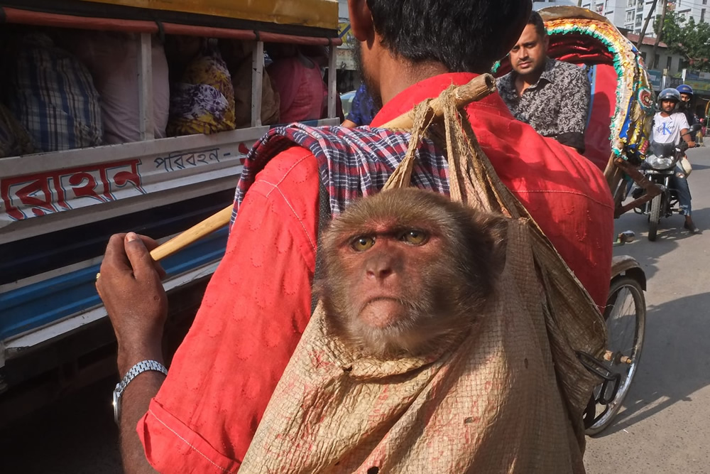 Best Photographs Of The Through The Lens Bangladesh (TTL)