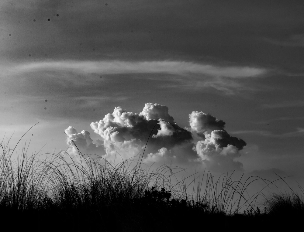 Best Photographs Of The Through The Lens Bangladesh (TTL)