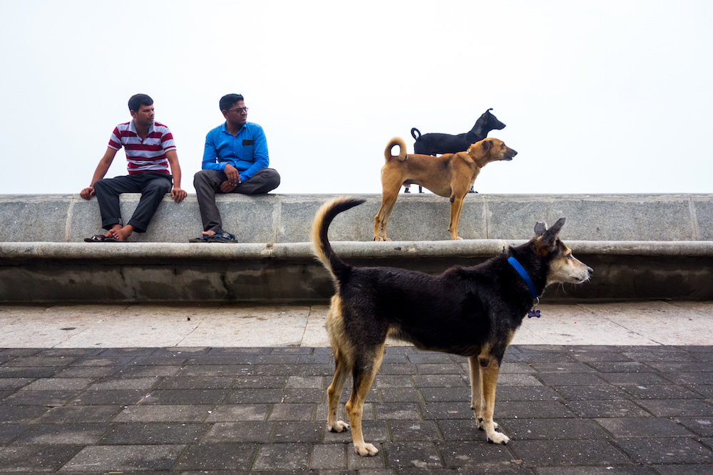 Interview With Indian Street Photographer Neenad Joseph Arul