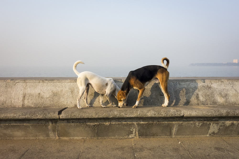 Interview With Indian Street Photographer Neenad Joseph Arul