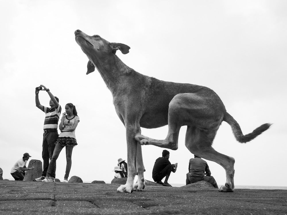 Interview With Indian Street Photographer Neenad Joseph Arul