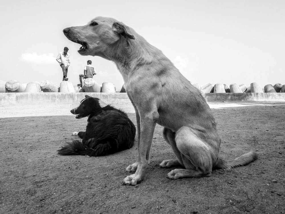 Interview With Indian Street Photographer Neenad Joseph Arul