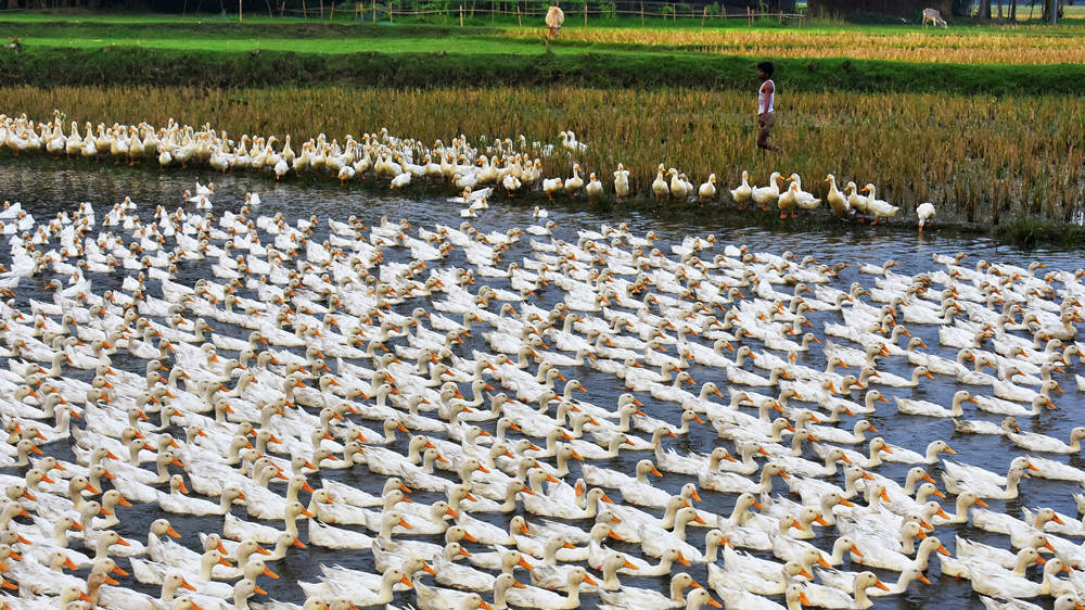 My Personal Best: Bangladeshi Photographer Shahnewaj Jasim