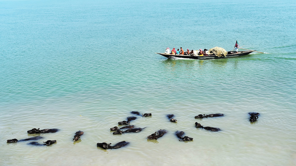 My Personal Best: Bangladeshi Photographer Shahnewaj Jasim