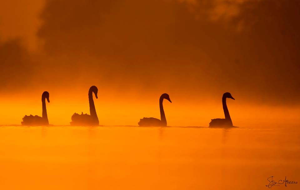 The Best 100 Photographs Of The February 2019 On World Photographic Forum FB Group