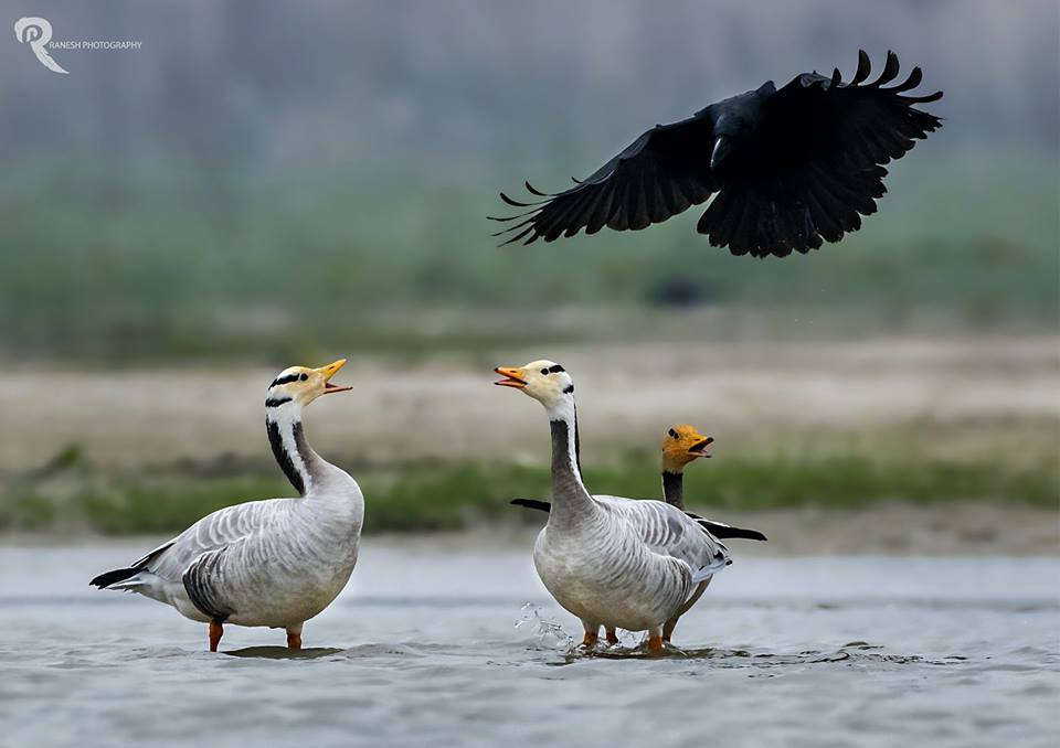 The Best 100 Photographs Of The February 2019 On World Photographic Forum FB Group