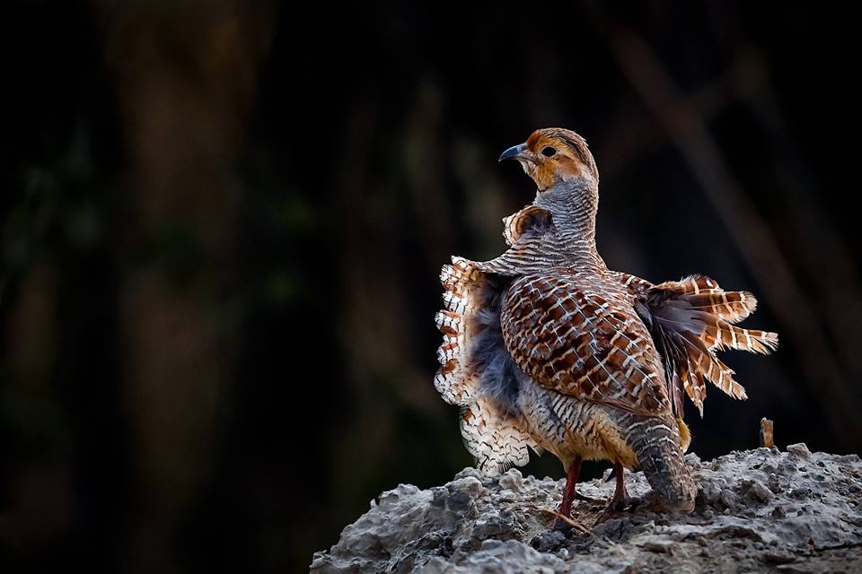 The Best 100 Photographs Of The February 2019 On World Photographic Forum FB Group