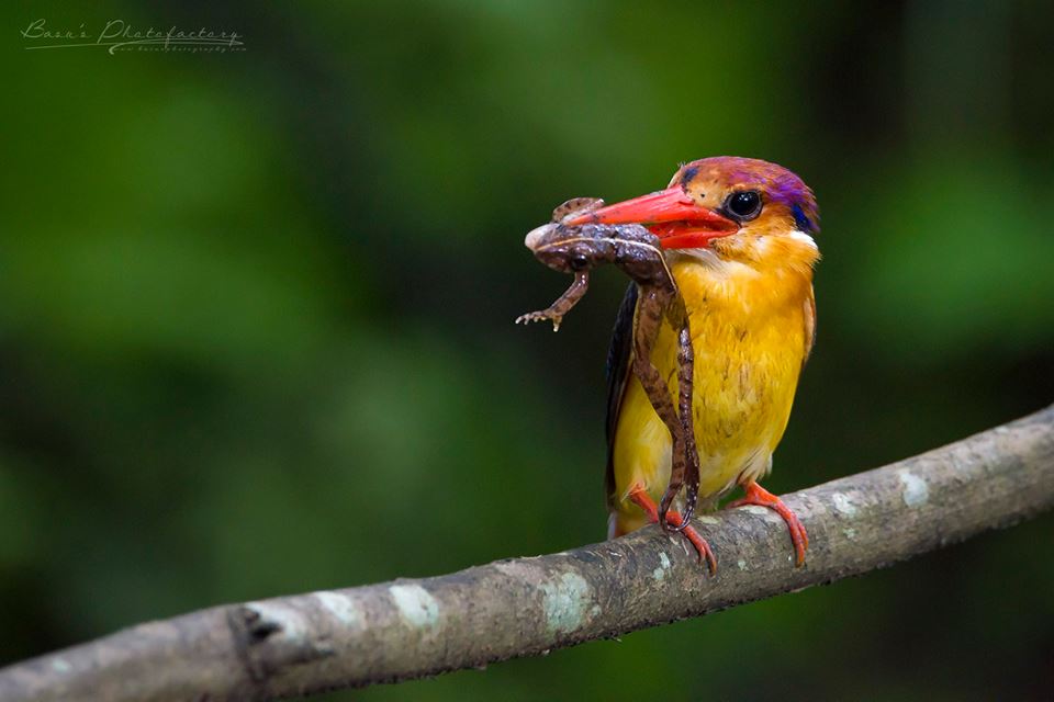 The Best 100 Photographs Of The February 2019 On World Photographic Forum FB Group