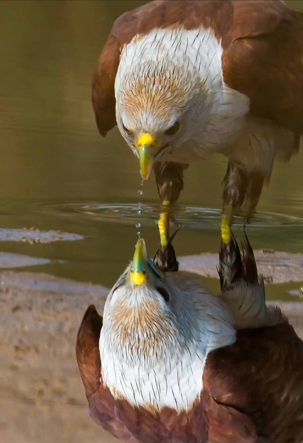 The Best 100 Photographs Of The February 2019 On World Photographic Forum FB Group