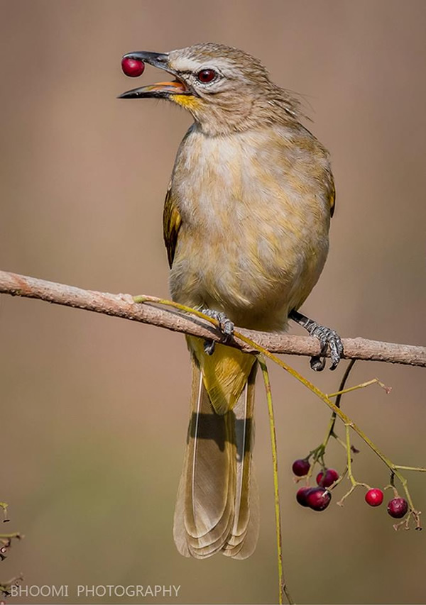 The Best 100 Photographs Of The February 2019 On World Photographic Forum FB Group