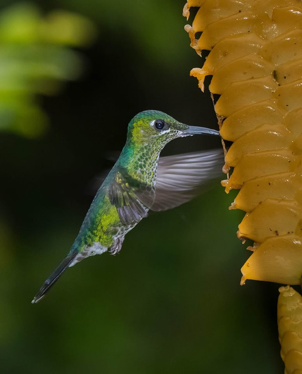 The Best 100 Photographs Of The February 2019 On World Photographic Forum FB Group