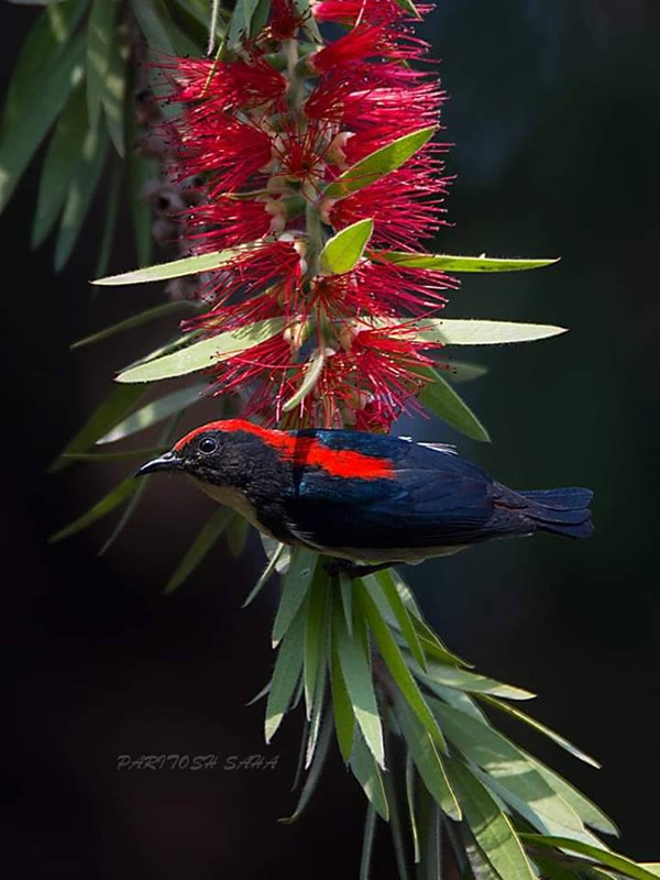 The Best 100 Photographs Of The February 2019 On World Photographic Forum FB Group