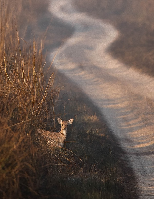 The Best 100 Photographs Of The February 2019 On World Photographic Forum FB Group