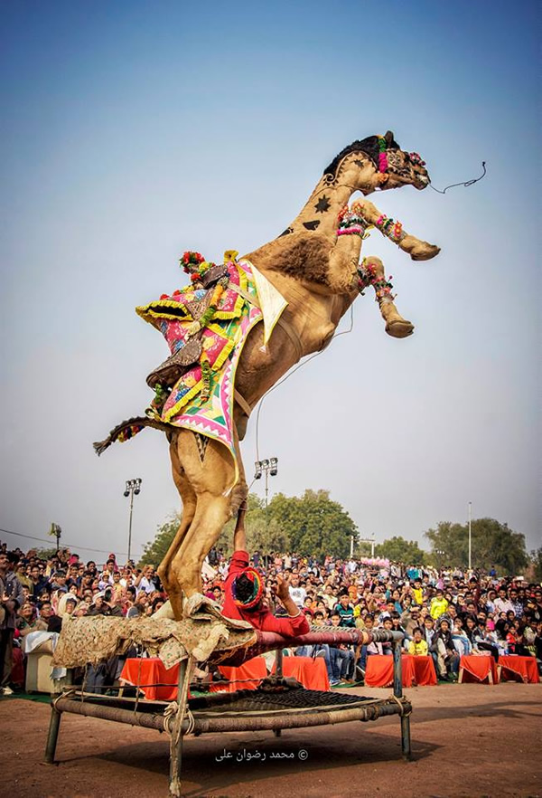 The Best 100 Photographs Of The February 2019 On World Photographic Forum FB Group