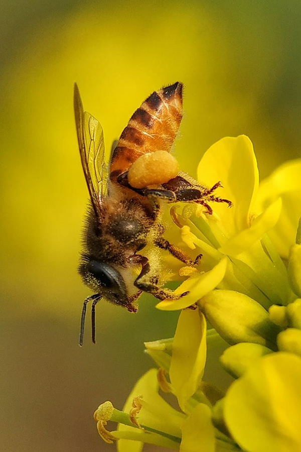 The Best 100 Photographs Of The February 2019 On World Photographic Forum FB Group