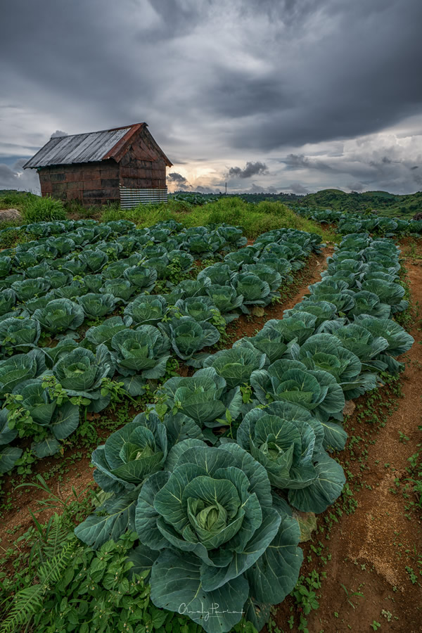 Nature Photographer Andy Pariat In Conversation With Raj Sarkar