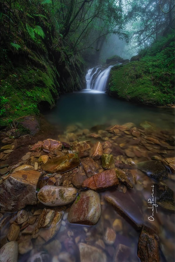 Nature Photographer Andy Pariat In Conversation With Raj Sarkar