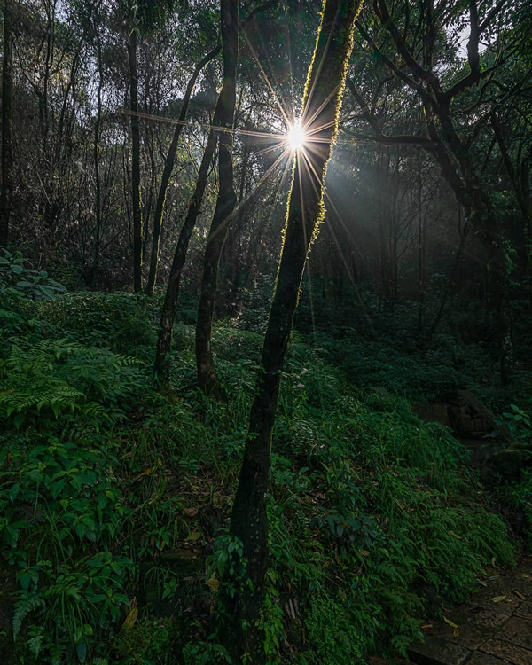 Nature Photographer Andy Pariat In Conversation With Raj Sarkar