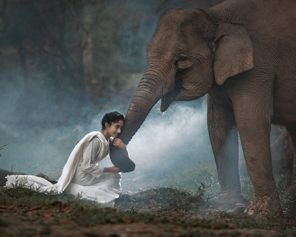 Elephant: A Soulful Fine Art Photographs By Rarindra Prakarsa