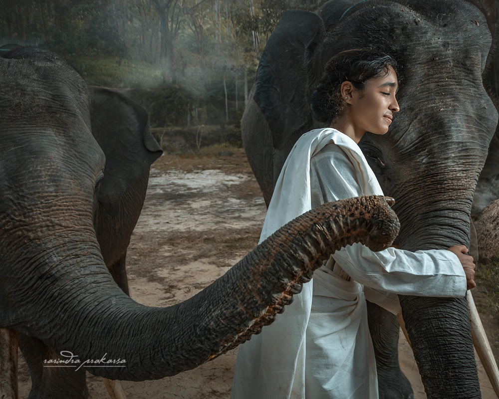 Elephant: A Soulful Fine Art Photographs By Rarindra Prakarsa